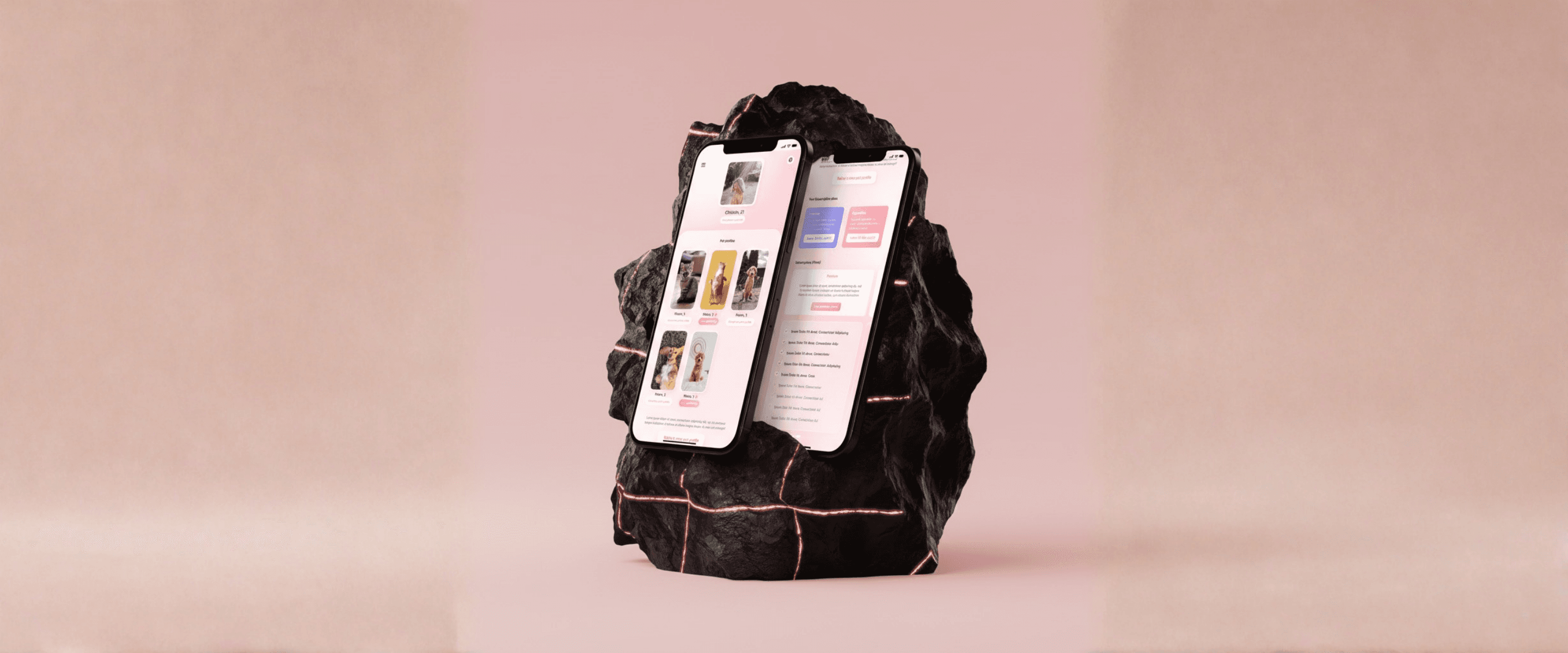 BEWP device mockup